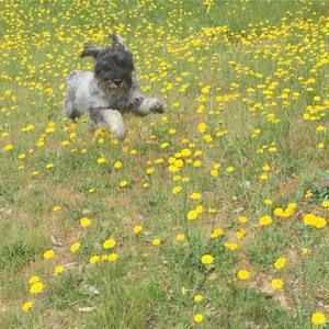 Meet your Posher, Fiona